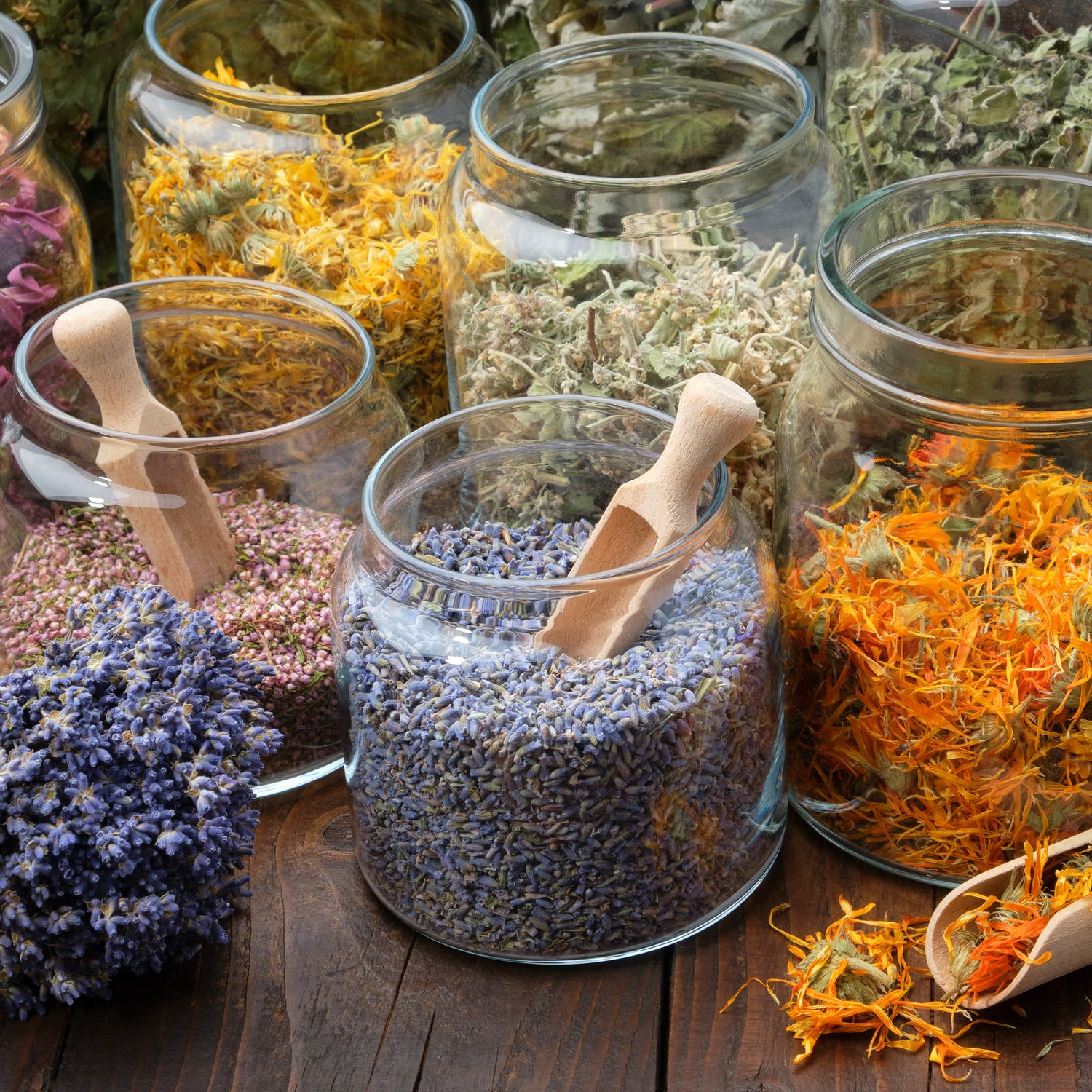 Apothecary