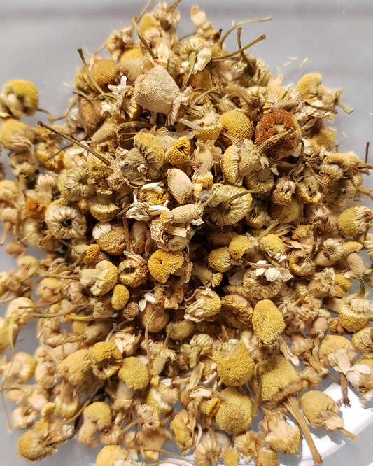 chamomile